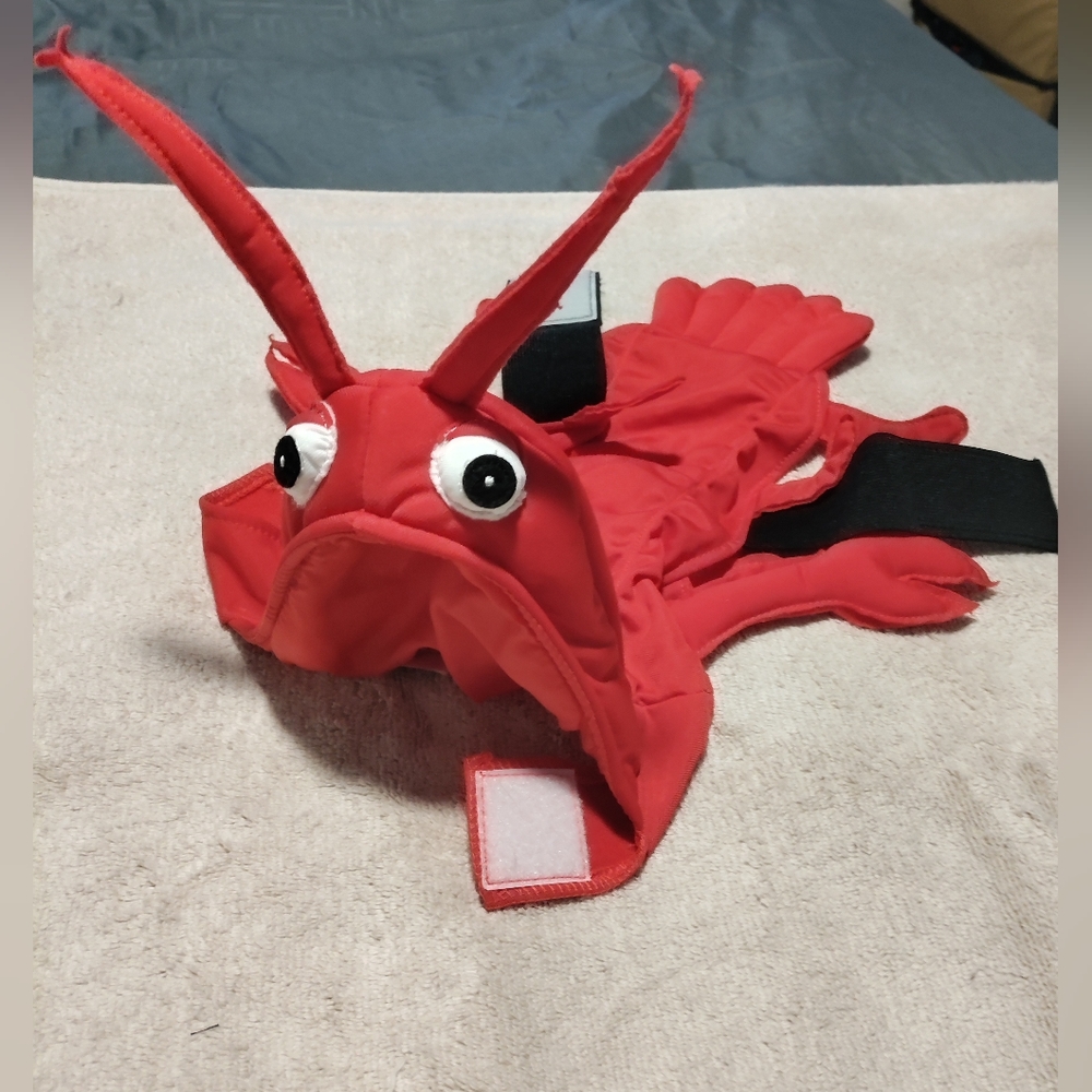NWOT Small Pet Lobster Costume